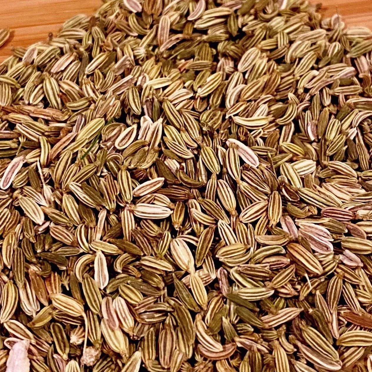 Close view of fennel seeds